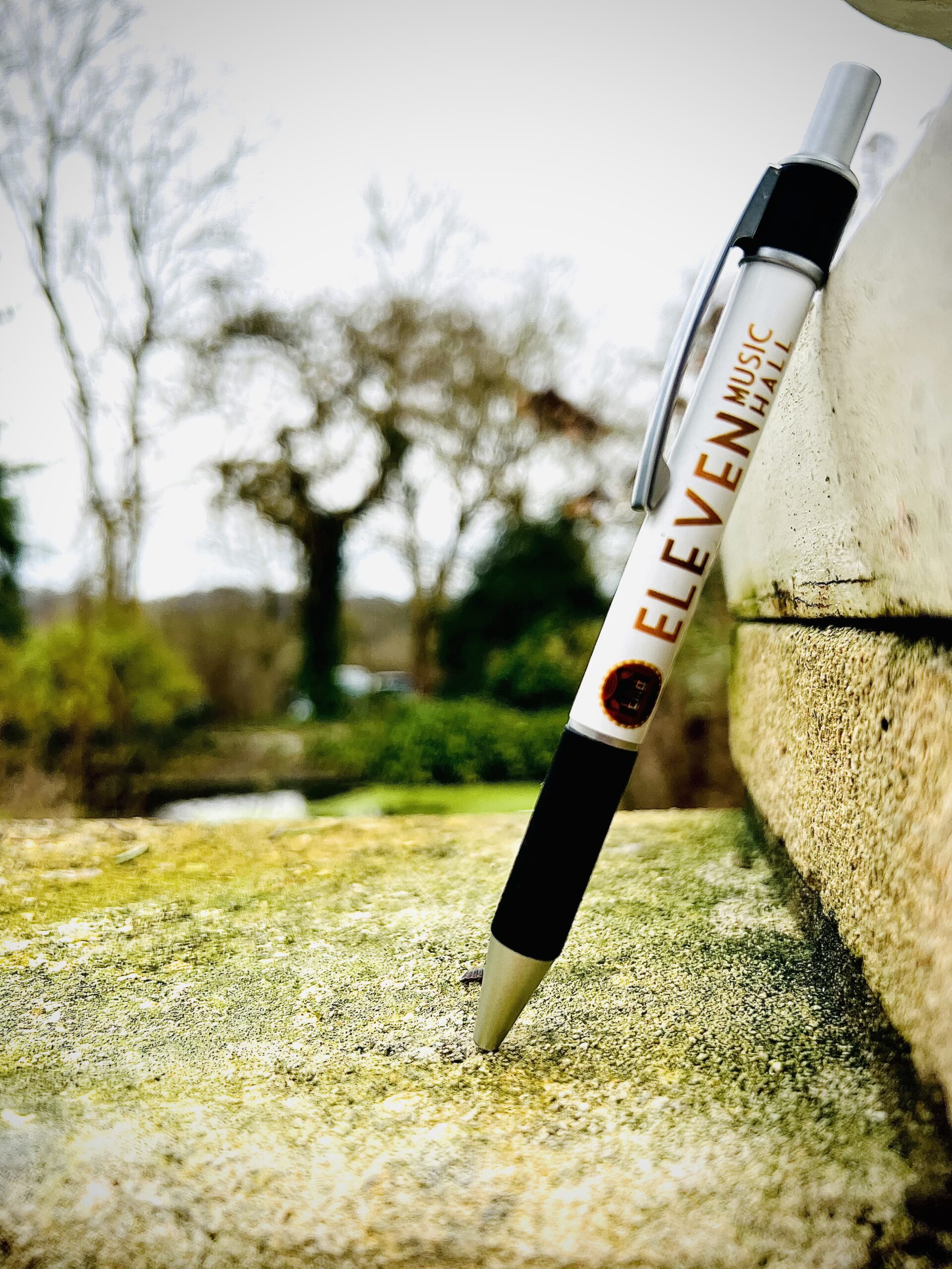 Bic EMH